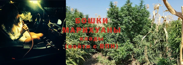 гидропоника Заводоуковск