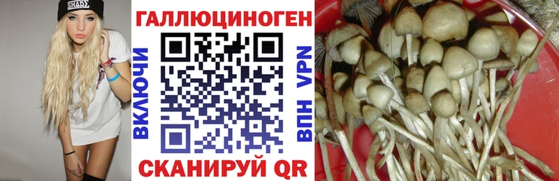 Псилоцибиновые грибы GOLDEN TEACHER  Купить  Ковдор 